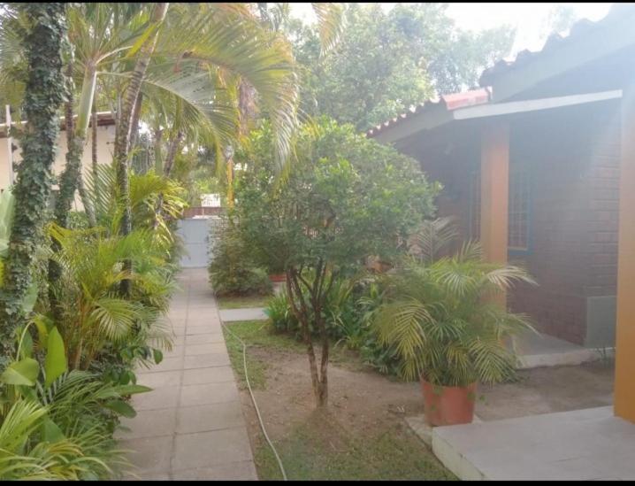 Prive Das Acacias Pôrto das Galinhas Extérieur photo